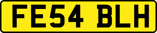 FE54BLH