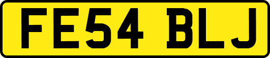 FE54BLJ