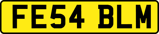 FE54BLM
