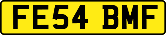 FE54BMF
