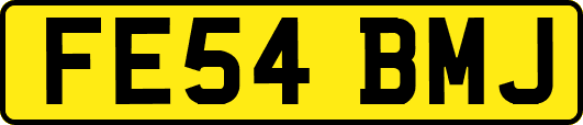 FE54BMJ