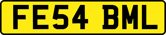 FE54BML