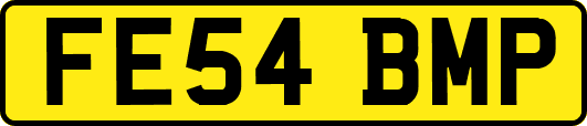 FE54BMP