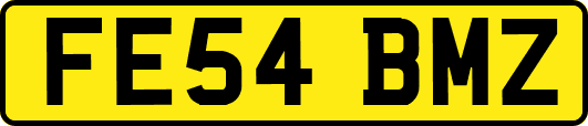 FE54BMZ