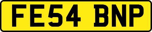 FE54BNP