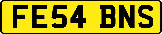 FE54BNS