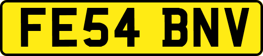 FE54BNV