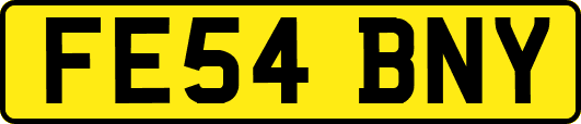 FE54BNY