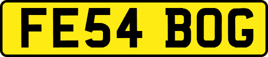 FE54BOG