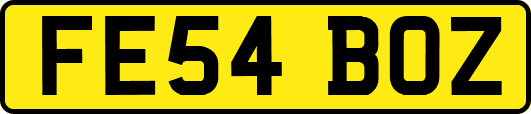 FE54BOZ