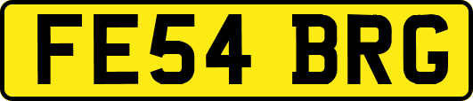 FE54BRG