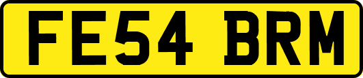 FE54BRM