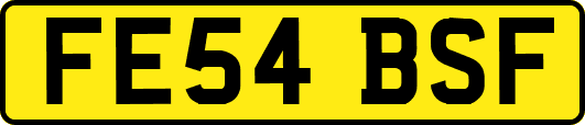 FE54BSF