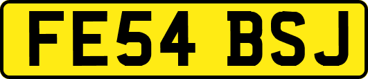 FE54BSJ