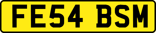 FE54BSM