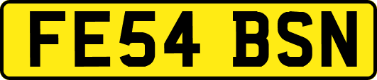 FE54BSN