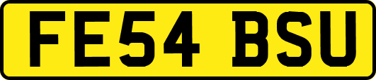FE54BSU