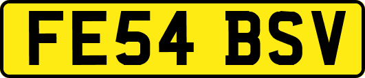 FE54BSV