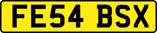 FE54BSX