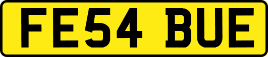 FE54BUE