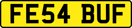 FE54BUF