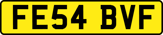 FE54BVF