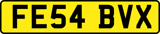 FE54BVX