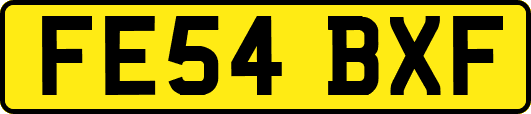 FE54BXF
