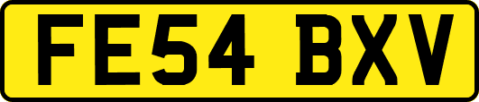 FE54BXV
