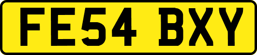 FE54BXY