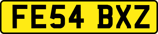 FE54BXZ