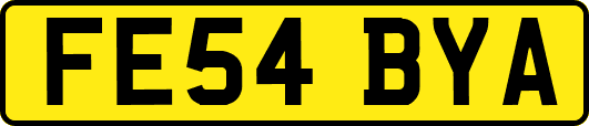 FE54BYA