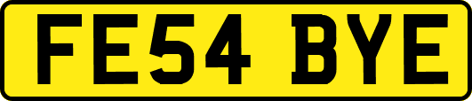 FE54BYE