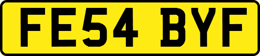 FE54BYF