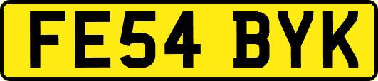 FE54BYK