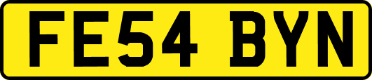 FE54BYN
