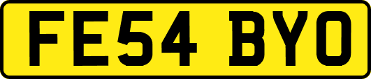 FE54BYO