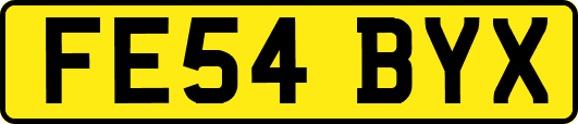FE54BYX