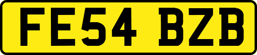 FE54BZB