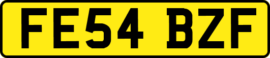 FE54BZF