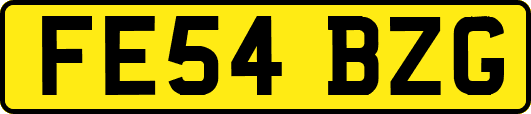 FE54BZG