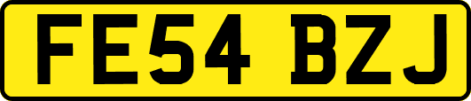 FE54BZJ