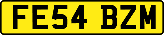 FE54BZM
