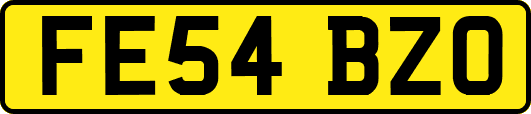 FE54BZO