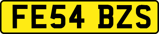 FE54BZS