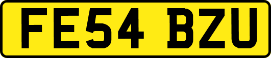 FE54BZU