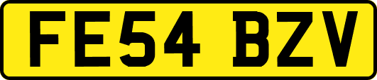 FE54BZV