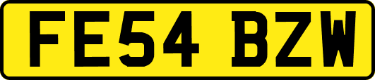 FE54BZW