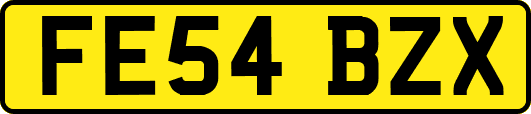 FE54BZX