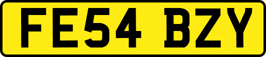 FE54BZY